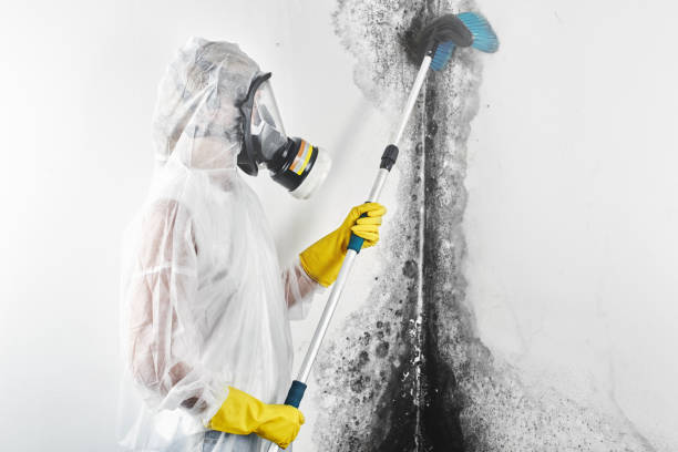 Best Biohazard Mold Removal  in Dos Palos, CA