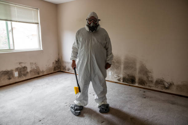 Best Attic Mold Removal  in Dos Palos, CA